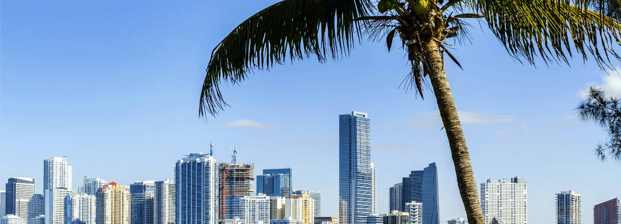 international-removals hero image